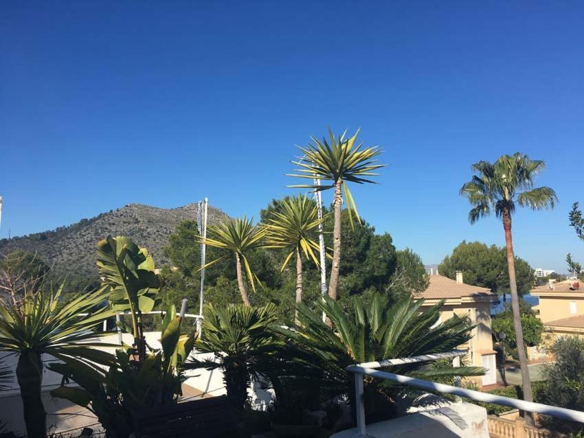 Beach Inn Apartment Lägenhet Alcudia (Mallorca)
