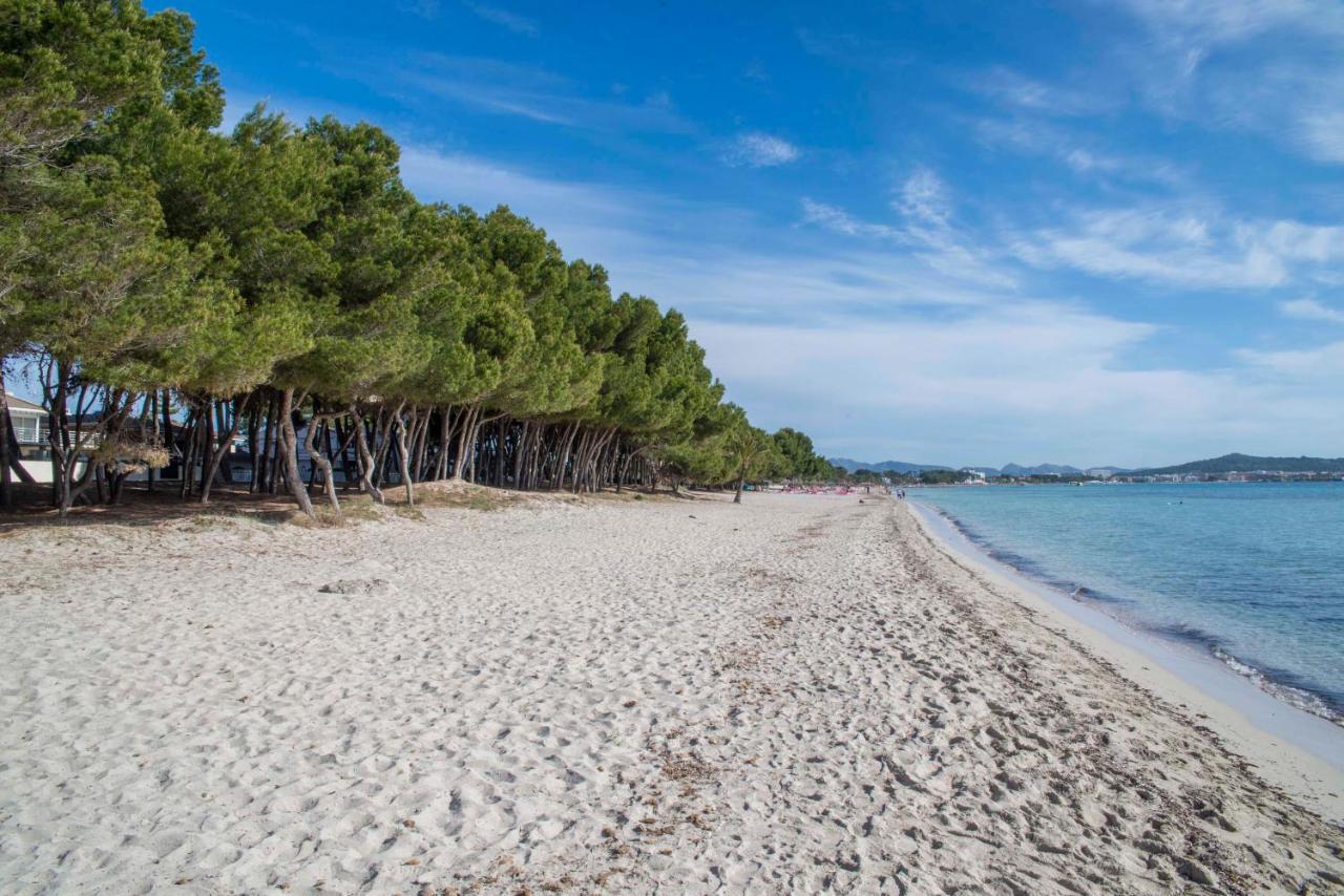 Lägenhet Beach Inn Apartment Alcudia (Mallorca)